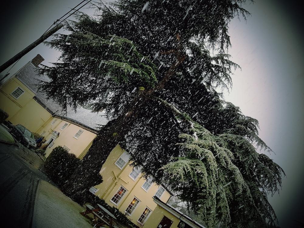 סטומרקט The Cedars Hotel מראה חיצוני תמונה
